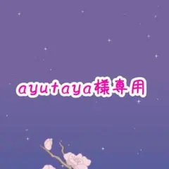 ayutaya様専用ページ