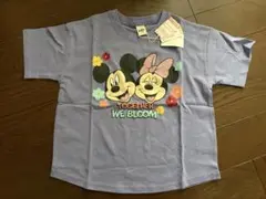 Item thumbnail for item d04a0631-b5f4-4edf-87ca-379e95ebeab4