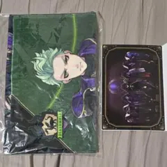 ツイステッドワンダーランド　ディアソムニア寮　フェイスタオル&クリアポスター