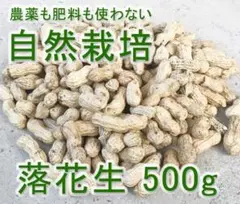 Yiイィ生落花生　自然栽培　約6kg 加熱前 Yiイィ生落花生 自然栽培 約6kg 加熱前 - メルカリ