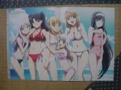 2026年最新】カーニバルファンタズム アルクェイドの人気アイテム