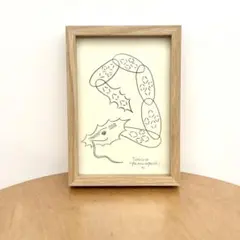 2025年最新】山口一郎 原画の人気アイテム - メルカリ