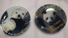 2026年最新】シャオシャオ レイレイ カップの人気アイテム - メルカリ