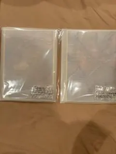 鬼滅の刃　WEB SHOPくじ　ビッグレイヤードアクリルパネル　我妻善逸　獪岳