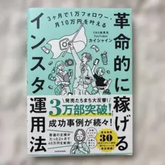 【ほぼ新品】1万フォロワー・月10万円を叶える 革命的に稼げるインスタ運用法