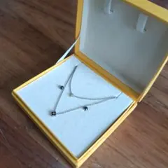 2連ネックレスとピアス　セット