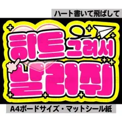 ペンサ・ファンサボード　オーダー受付 Amazon.co.jp: ハングル文字 オーダー受付 ネームボード うちわ