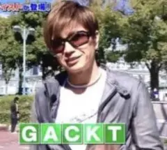 シェラックの革ジャン　GACKT着用のサムネイル