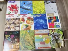 しぜん 絵本 12冊セット