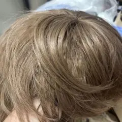 ショートウィッグ ライトブラウン