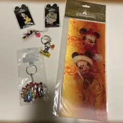 香港ディズニー　まとめ売り　虎　キーホルダー　ブローチ　バッチ　ピンズ