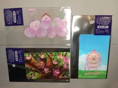 こびとづかん□マジカル百貨店ステッカー・クリアカード□3枚セット