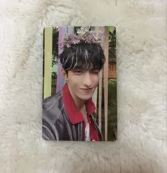 SEVENTEEN セブチ ドギョム HEAVEN 2:14 花冠 封入 トレカ