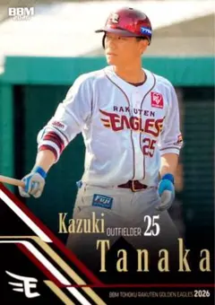 東北楽天ゴールデンイーグルス田中和基ユニフォーム 東北楽天ゴールデンイーグルス 田中和基選手 Lサイズ ユニフォーム