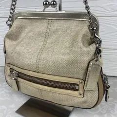 COACH Y2K Kisslock Chain Shoulder Purse