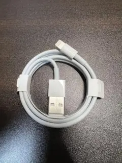 Lightningケーブル iPhone 付属純正品 純正ライトニングケーブル
