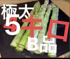 新鮮アスパラ アスパラガス B品 訳あり - メルカリ