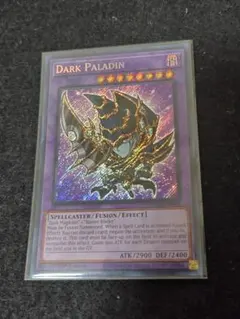 遊戯王 ブラックパラディン 英語版 Dark Paladin シークレットレア 遊戯王 ブラックパラディン 英語版 Dark Paladin シークレット