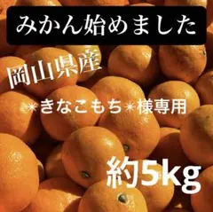 ✴︎きなこもち✴︎様専用