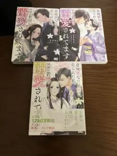 意地悪な母と姉に売られた私。何故か若頭に溺愛されてます. 3