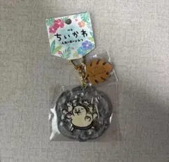 映画 ちいかわ 人魚の島のひみつ 水面アクリルキーホルダー　島二郎