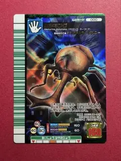 【希少美品】　ムシキング　2007F