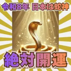 【大好評】「蛇絵」心願成就 除災招福 この絵を飾る家と人を護る 神社 ご利益