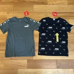 【新品、未使用】プーマ　キッズTシャツ(152cm) 2枚セット