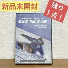⭐️ 残り１点‼️新品未開封⭐️スノーボードカービングDVD GTS13