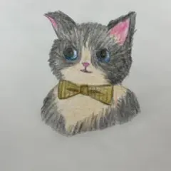 手描き猫イラスト ポストカード