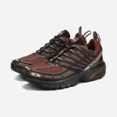 2026年最新】Salomon acs pro gore-texの人気アイテム - メルカリ