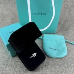 Tiffany & Co. シルバーリング ダイヤモンド付き