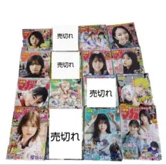 過去本 週刊少年マガジン 12冊 コレクション まとめ売り