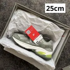 25cm WTAPS × New Balance ABZORB U2010WT