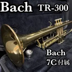 2026年最新】BACH TR 300の人気アイテム - メルカリ