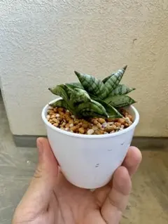 kome*様 リクエスト 2点 まとめ商品