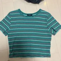 SUREVE ボーダー Tシャツ グリーン