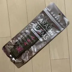 嵐を旅する展覧会 BEAMS ラゲッジマーク 緑