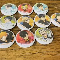 ハイキュー‼︎ 缶バッジコレクション 横断幕 フルカラー缶バッジ 全10種