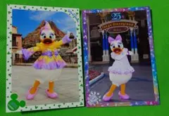 ディズニー　スペフォ　デイジー　スペシャルフォト　2枚セット