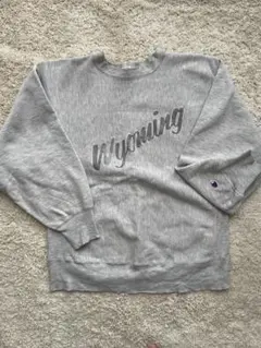 お値下げ！Champion リバースウィーブ　80s トリコタグ