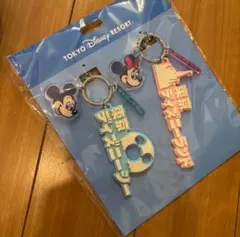 【キーチェーンセット】ディズニーランド ディズニーシー ミッキー ミニー