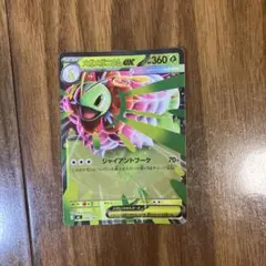 2026年最新】メガニウムexの人気アイテム - メルカリ