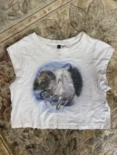 H&M 馬のプリント Mサイズ クロップ半袖Tシャツ