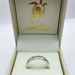 Item thumbnail for item d7562a73-ab27-4c63-9458-2c2fb1c9597c