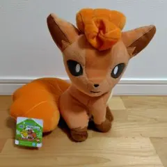 新品 ロコン ぬいぐるみ ポケモンセンター chiku sewing - メルカリ