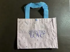 セブチLOVE ペンミ プレミアムシート 特典 5/17 大阪 ギフトバックのみ