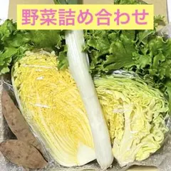 新鮮野菜セット　野菜詰め合わせ a