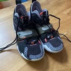 NIKE ジョーダンワイノットゼロ