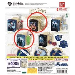 ハリーポッター めじるしアクセサリー 金のスニッチ、食べられる闇の印セット